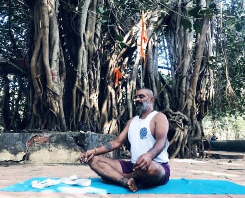 Sacred Trees of India Yoga