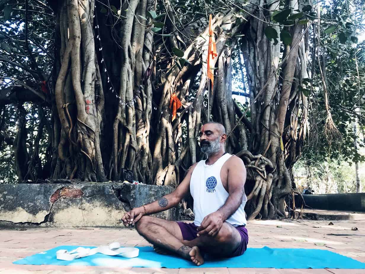 Sacred Trees of India while practising yoga with blessings 7 Sacred Trees